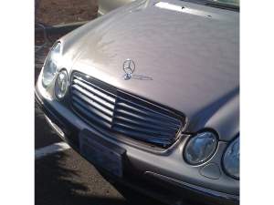 fender bender A little love tap
