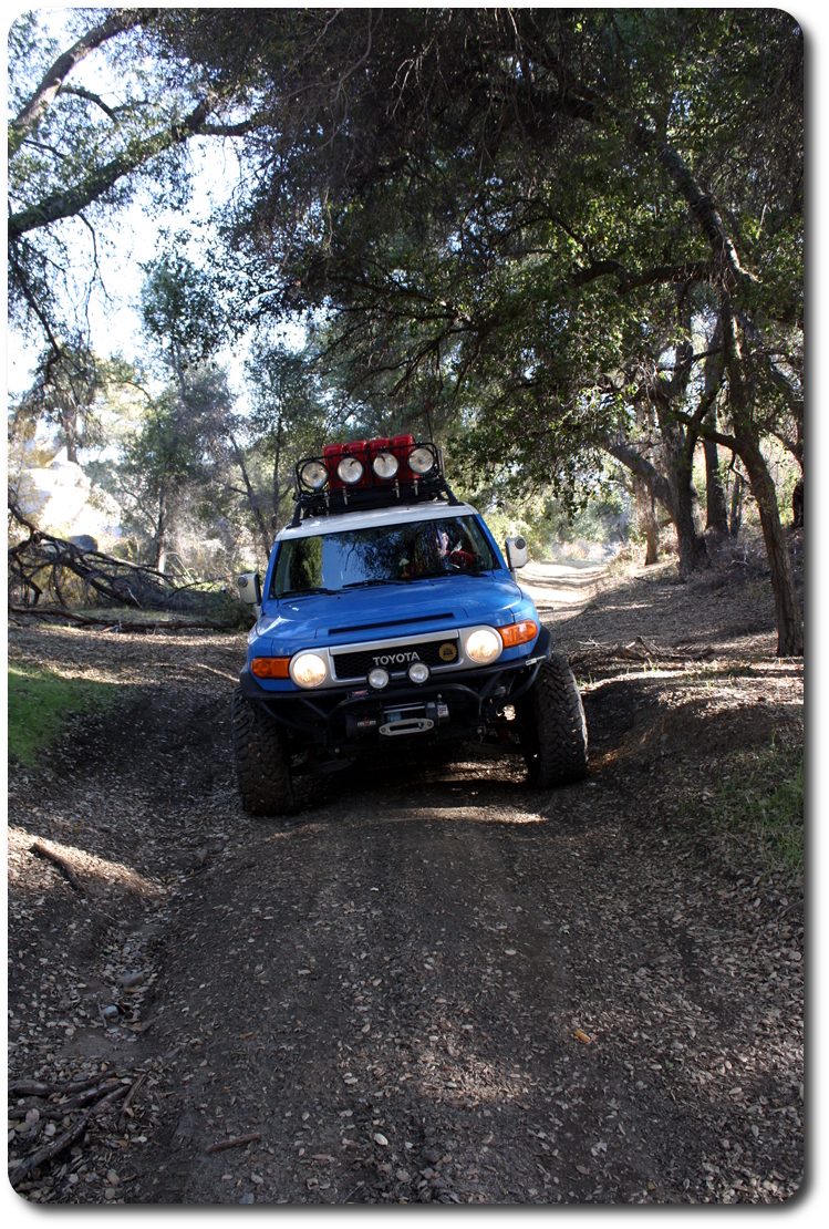 fj cruiser trees