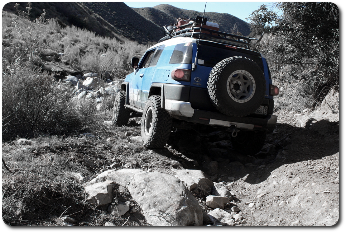 bw blue bunny fj cruiser